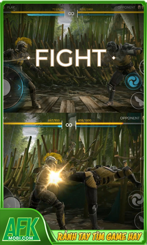 Shadow Fight Arena