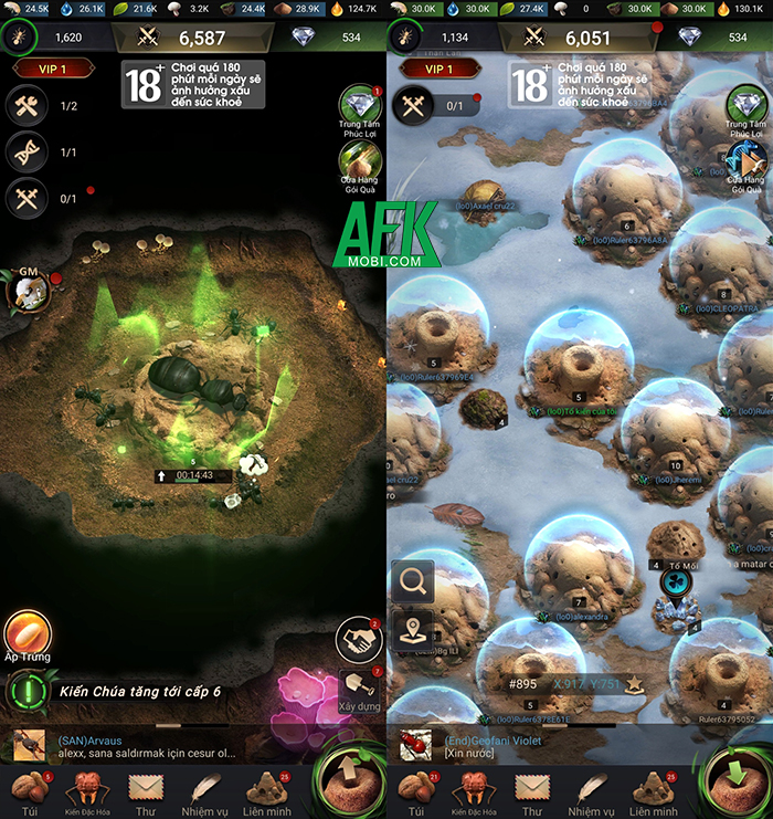 Vương Quốc Kiến - Gamota cho phép người chơi trở thành lãnh chúa của muôn loài Kiến 5