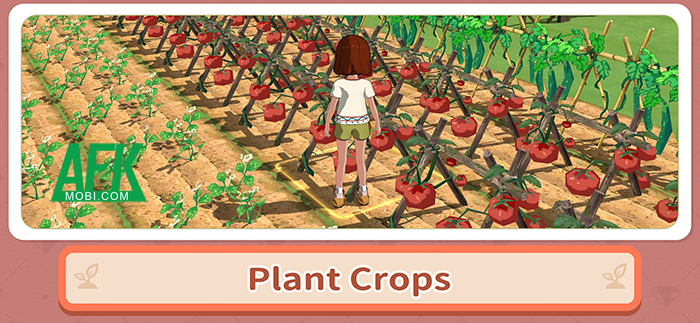 Tận hưởng cuộc sống giản dị vùng thôn quê trong game mô phỏng MORIKOMORI LIFE 2