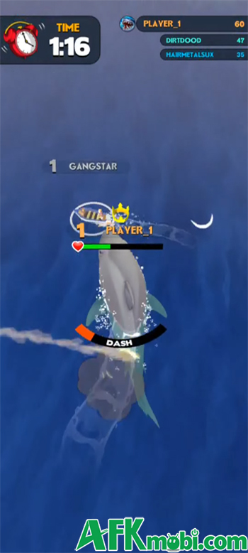 ApexShark cho bạn lựa chọn giữa việc làm cá mập hoặc là săn cá mập 0