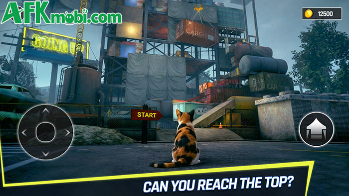 Going Up Cat Runner 3D game platformer có chủ đề độc đáo kết hợp Only Up! với Stray 0